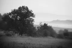 wystawa-zagubieni-w-casie-2015-32