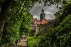 wystawa-zagubieni-w-casie-2015-33