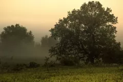 wystawa-zagubieni-w-casie-2015-40