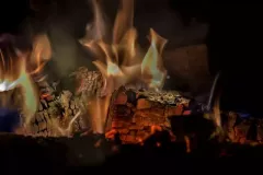 wystawa-zagubieni-w-casie-2015-6