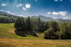 wystawa-zagubieni-w-casie-2015-63