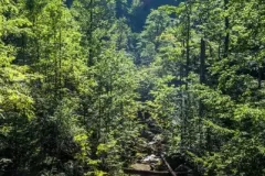 wystawa-zagubieni-w-casie-2015-64