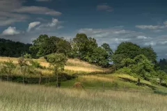 wystawa-zagubieni-w-casie-2015-8