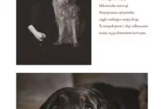 fotografia-moja-pasja-2018-31