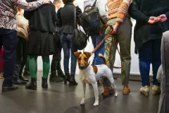 wystawa-magiczne-pienieny-2022-28