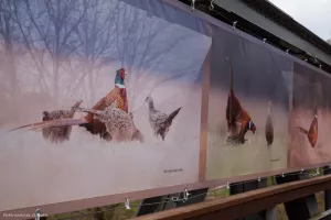 WYSTAWY ZTF - WYSTAWA PLENEROWA W STANACH