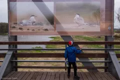 WYSTAWA-PLENEROWA-W-STANACH-1