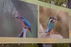 WYSTAWA-PLENEROWA-W-STANACH-10