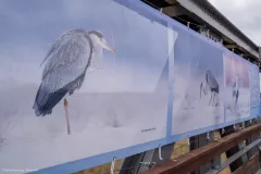 WYSTAWA-PLENEROWA-W-STANACH-2