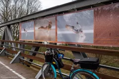 WYSTAWA-PLENEROWA-W-STANACH-5