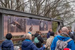 WYSTAWA-PLENEROWA-W-STANACH-7