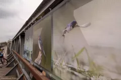 WYSTAWA-PLENEROWA-W-STANACH-8