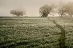 3 miejsce - Krzysztof Modrzejewski