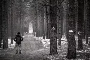 ZDJĘCIE MIESIĄCA 2018 - GRUDZIEŃ