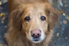 2 miejsce - Iwona Piątkowiak