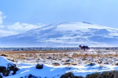 3 miejsce - Konrad Czech