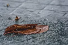 3 miejsce - Ewa Thomas