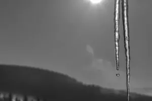 ZDJĘCIE MIESIĄCA 2018 - LUTY