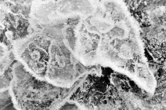 3 miejsce - Anna Ramos