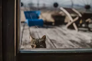 ZDJĘCIE MIESIĄCA 2018 - MARZEC