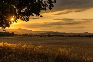 ZDJĘCIE MIESIĄCA 2018 - PAŹDZIERNIK