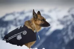 1 miejsce STF i 2 miejsce ZTF - Bodek Macal