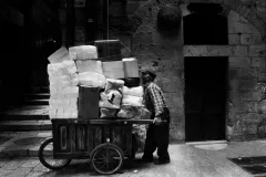 3 miejsce ZTF - Osana Krasowska Cieślak