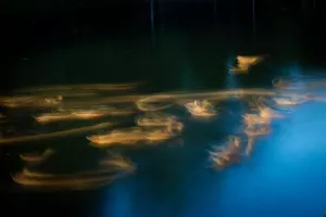 ZDJĘCIE MIESIĄCA 2019 - GRUDZIEŃ