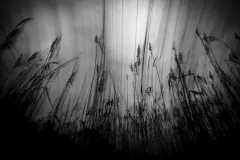 2 miejsce - Witold Cholewa