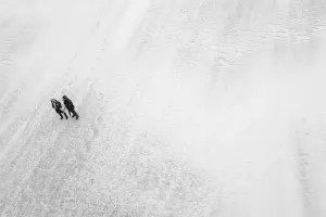 ZDJĘCIE MIESIĄCA 2019 - MAJ