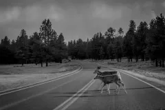 3 miejsce - Joanna Szandruk