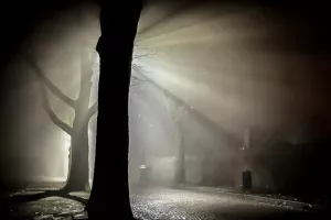 ZDJĘCIE MIESIĄCA 2019 - STYCZEŃ