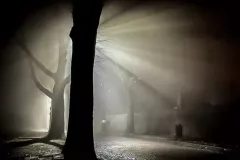 1 miejsce - Krzysztof Modrzejewski