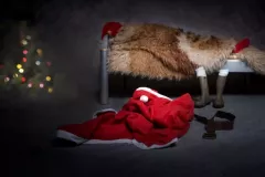 3 miejsce - Barbara Toczyska