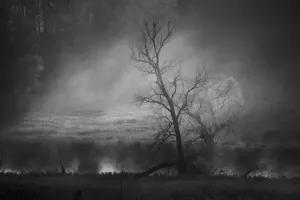 ZDJĘCIE MIESIĄCA 2020 - LUTY