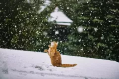 2 miejsce - Joanna Dąbrowska