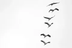 2 miejsce - Krzysztof Modrzejewski