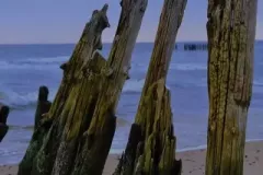 3 miejsce - Bogdan Baranowski