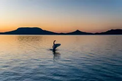 3 miejsce - Marzena Dempska