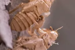 I-miejsce-Magdalena-Pawelec