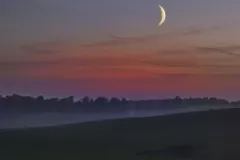 Zieleniewski Wojciech