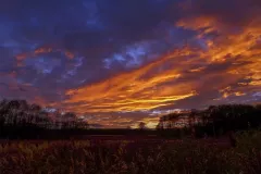 Zieleniewski Wojciech