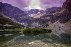 Zieleniewski Wojciech