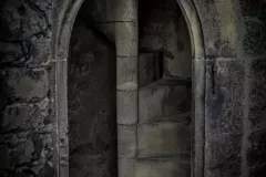 Zieleniewski Wojciech